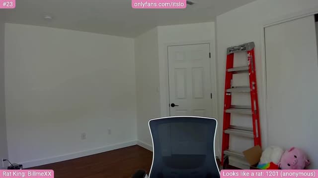 Gallery image thumbnail from ItsLo's myfreecams stream on, 05/31/2024, 21:09 image 13 of 20