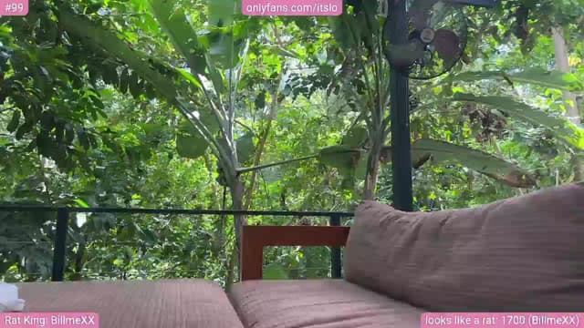 Gallery image thumbnail from ItsLo's myfreecams stream on, 12/12/2024, 20:06 image 14 of 20
