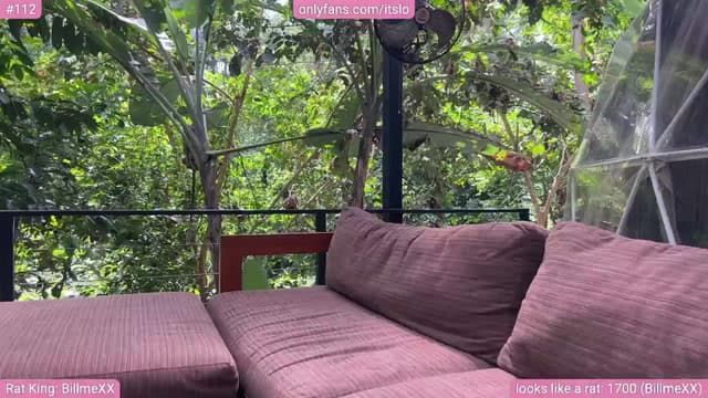Gallery image thumbnail from ItsLo's myfreecams stream on, 12/12/2024, 20:06 image 3 of 20