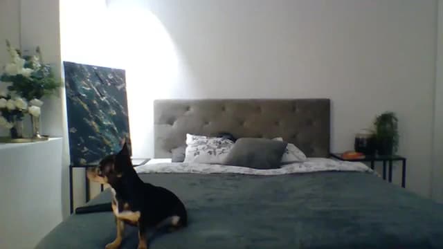 Gallery image thumbnail from ItsMe's myfreecams stream on, 11/14/2023, 12:25 image 18 of 20