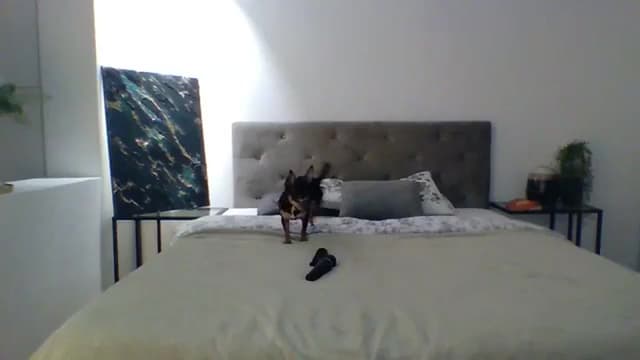 Gallery image thumbnail from ItsMe's myfreecams stream on, 11/15/2023, 11:37 image 5 of 20