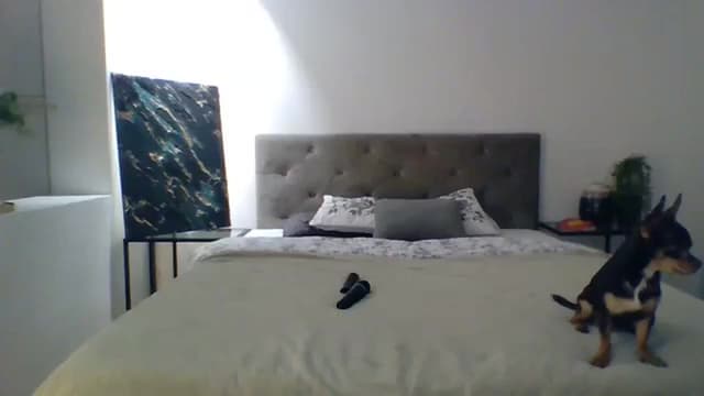 Gallery image thumbnail from ItsMe's myfreecams stream on, 11/15/2023, 11:37 image 8 of 20