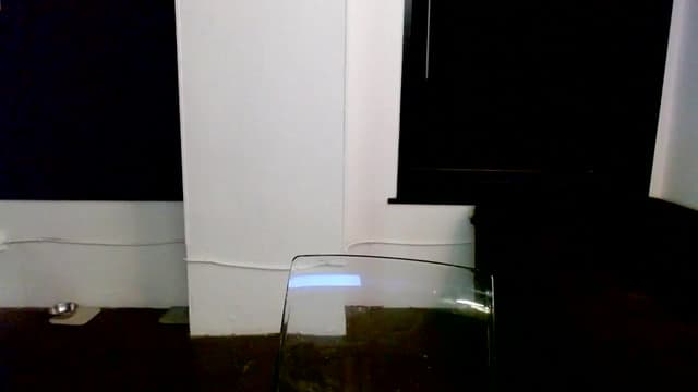 Gallery image thumbnail from Ivy__'s myfreecams stream on, 06/27/2024, 09:12 image 15 of 20