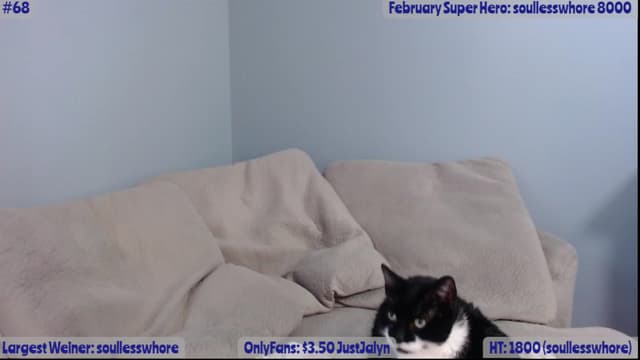 Gallery image thumbnail from Jalyn's myfreecams stream on, 02/23/2023, 21:53 image 5 of 20