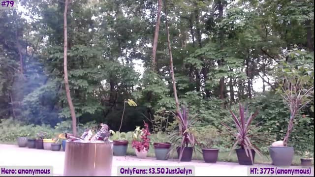 Gallery image thumbnail from Jalyn's myfreecams stream on, 06/09/2023, 01:05 image 16 of 20