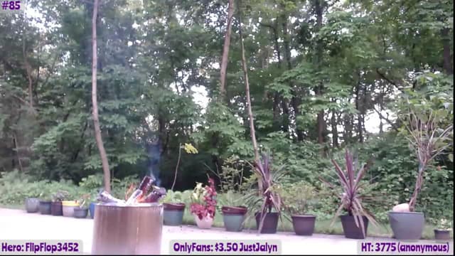 Gallery image thumbnail from Jalyn's myfreecams stream on, 06/09/2023, 01:05 image 13 of 20