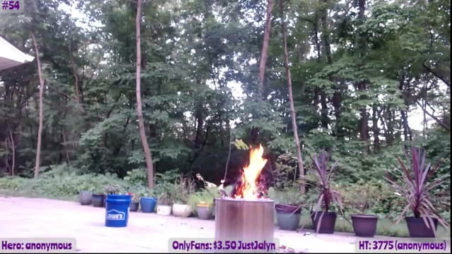 Gallery image thumbnail from Jalyn's myfreecams stream on, 06/10/2023, 01:22 image 17 of 20