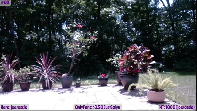 Gallery image thumbnail from Jalyn's myfreecams stream on, 06/10/2023, 18:42 image 11 of 20