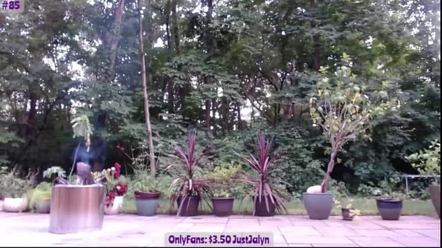 Gallery image thumbnail from Jalyn's myfreecams stream on, 07/22/2023, 02:02 image 11 of 20