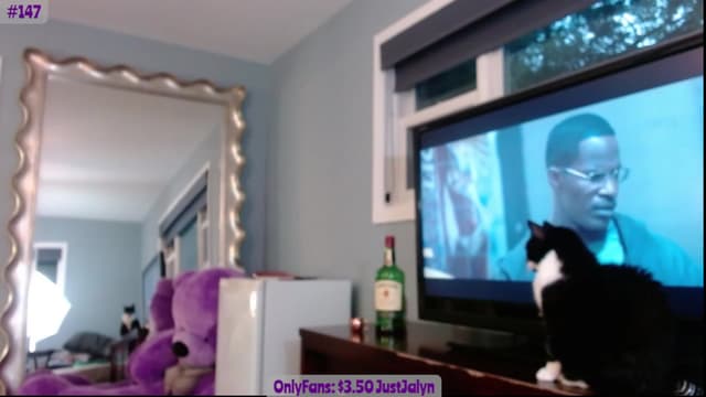 Gallery image thumbnail from Jalyn's myfreecams stream on, 08/06/2023, 01:18 image 13 of 20