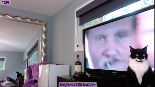 Gallery image thumbnail from Jalyn's myfreecams stream on, 08/10/2023, 24:04 image 16 of 20