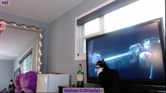 Gallery image thumbnail from Jalyn's myfreecams stream on, 10/09/2023, 23:10 image 3 of 20