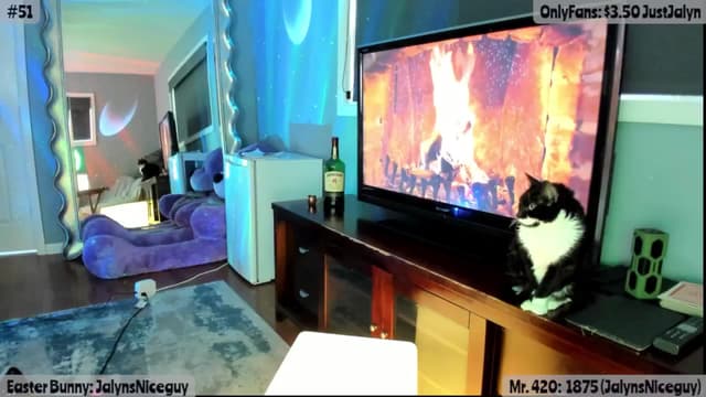 Gallery image thumbnail from Jalyn's myfreecams stream on, 04/22/2025, 24:26 image 10 of 20