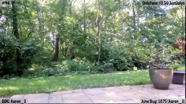 Gallery image thumbnail from Jalyn's myfreecams stream on, 06/22/2025, 15:48 image 12 of 20