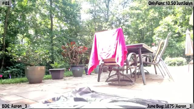Gallery image thumbnail from Jalyn's myfreecams stream on, 06/22/2025, 17:39 image 10 of 20