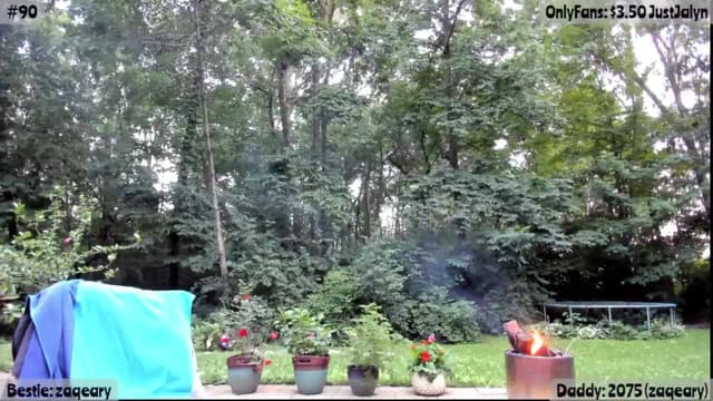 Gallery image thumbnail from Jalyn's myfreecams stream on, 07/13/2025, 03:45 image 12 of 20