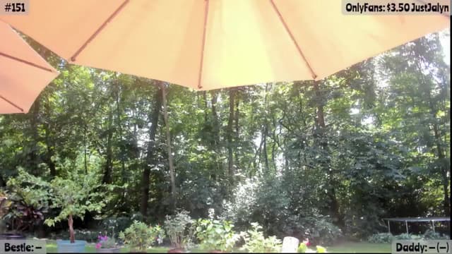 Gallery image thumbnail from Jalyn's myfreecams stream on, 08/13/2025, 19:59 image 10 of 20