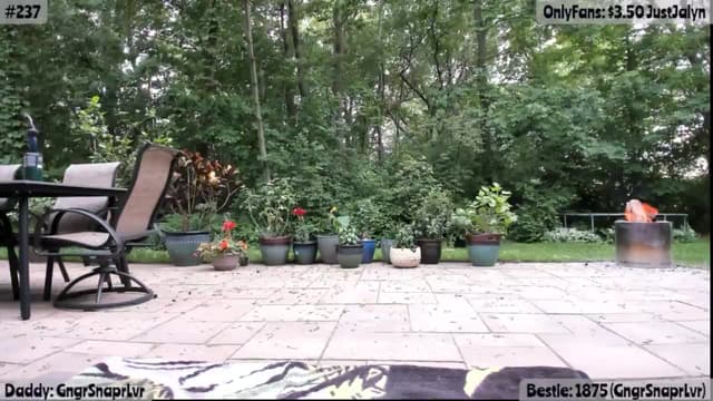 Gallery image thumbnail from Jalyn's myfreecams stream on, 06/05/2026, 24:52 image 19 of 20