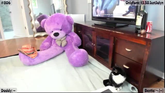 Gallery image thumbnail from Jalyn's myfreecams stream on, 07/04/2026, 14:33 image 1 of 20