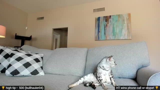 Gallery image thumbnail from Jayne's myfreecams stream on, 11/28/2022, 19:43 image 10 of 20