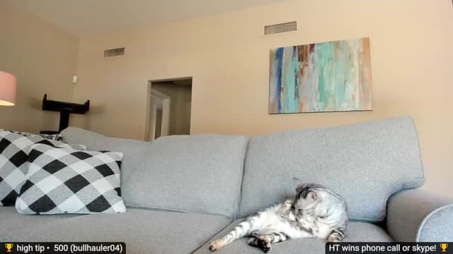 Gallery image thumbnail from Jayne's myfreecams stream on, 11/28/2022, 19:43 image 12 of 20