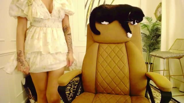 Gallery image thumbnail from K3lly's myfreecams stream on, 08/18/2025, 20:39 image 18 of 20