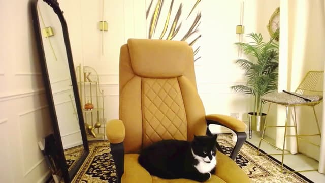 Gallery image thumbnail from K3lly's myfreecams stream on, 09/19/2025, 18:58 image 18 of 20