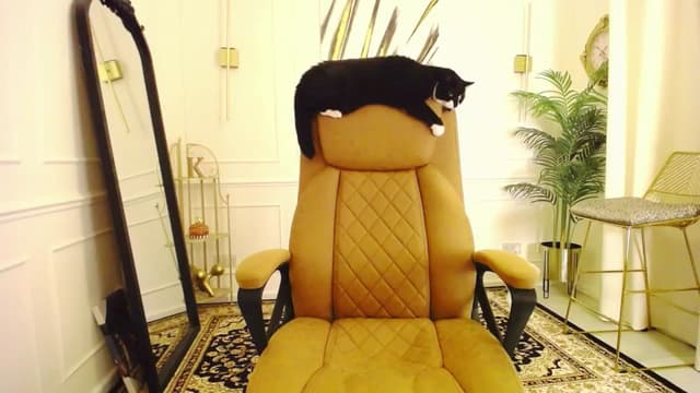 Gallery image thumbnail from K3lly's myfreecams stream on, 09/20/2025, 21:50 image 7 of 20