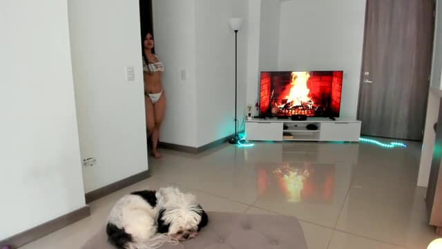 Gallery image thumbnail from Kas__'s myfreecams stream on, 11/02/2024, 15:37 image 12 of 20