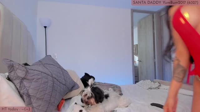 Gallery image thumbnail from Kas__'s myfreecams stream on, 12/25/2024, 16:51 image 1 of 20