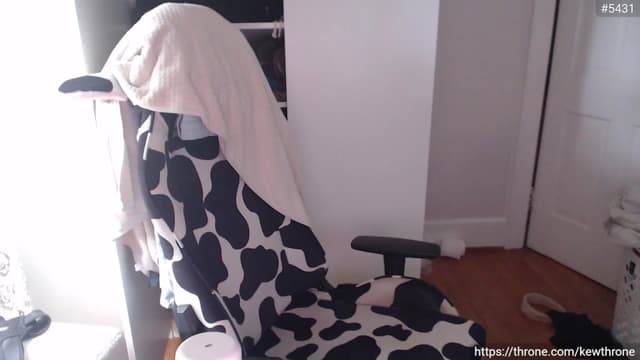 Gallery image thumbnail from Kew__'s myfreecams stream on, 07/13/2025, 20:25 image 1 of 20