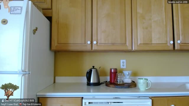 Gallery image thumbnail from Kira_'s myfreecams stream on, 12/02/2025, 17:38 image 15 of 20