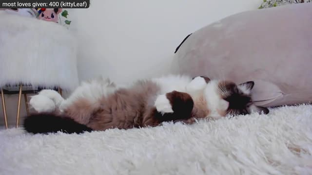Gallery image thumbnail from Kitty's myfreecams stream on, 12/03/2022, 05:30 image 15 of 20