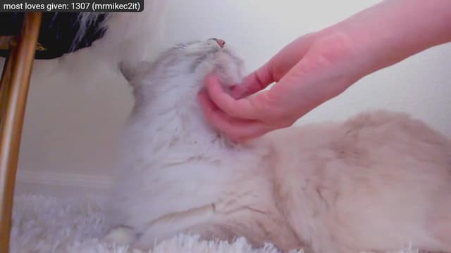 Gallery image thumbnail from Kitty's myfreecams stream on, 12/29/2022, 09:18 image 2 of 20