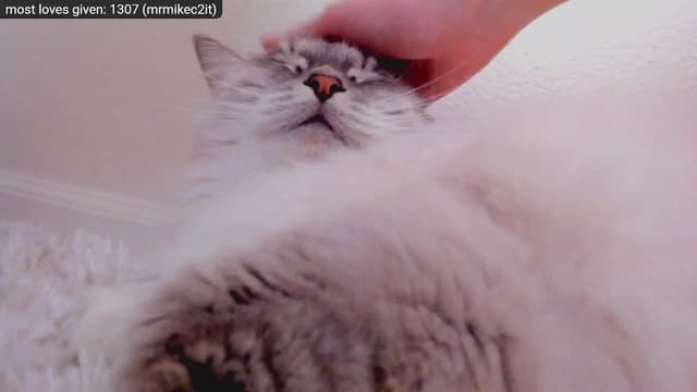 Gallery image thumbnail from Kitty's myfreecams stream on, 12/29/2022, 09:18 image 12 of 20