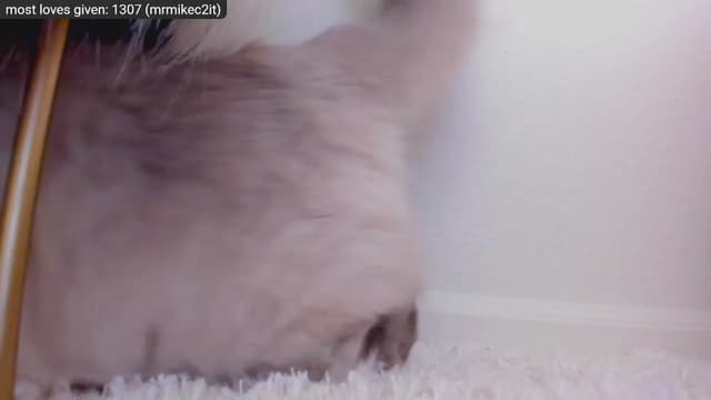 Gallery image thumbnail from Kitty's myfreecams stream on, 12/29/2022, 09:18 image 3 of 20