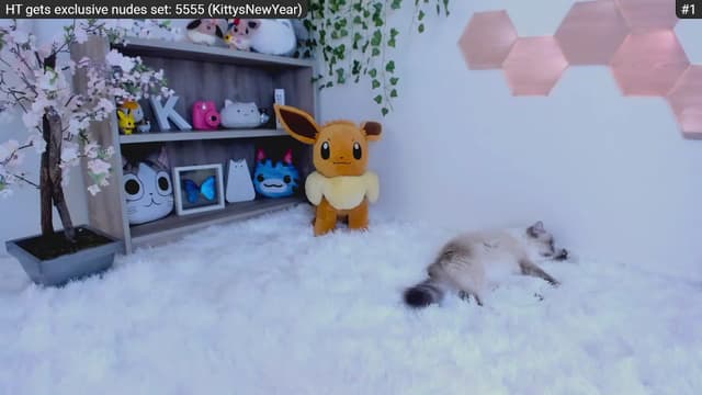 Gallery image thumbnail from Kitty's myfreecams stream on, 01/05/2023, 05:17 image 15 of 20