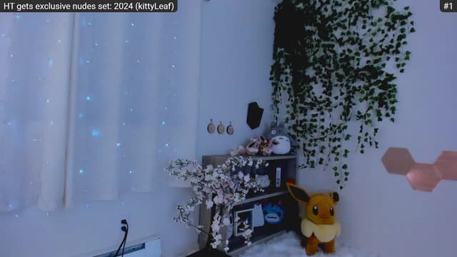 Gallery image thumbnail from Kitty's myfreecams stream on, 01/05/2023, 05:17 image 11 of 20