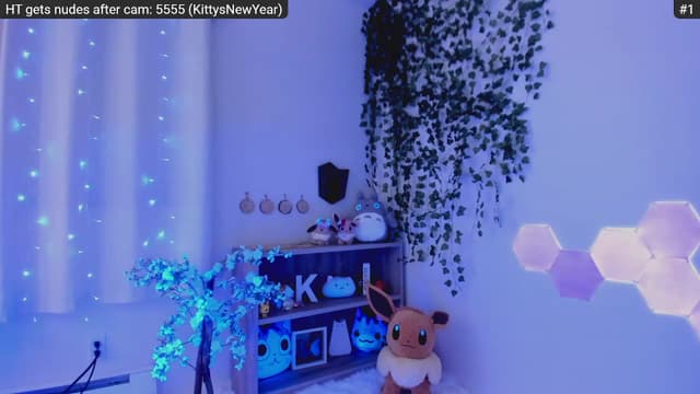 Gallery image thumbnail from Kitty's myfreecams stream on, 01/06/2023, 08:05 image 14 of 20