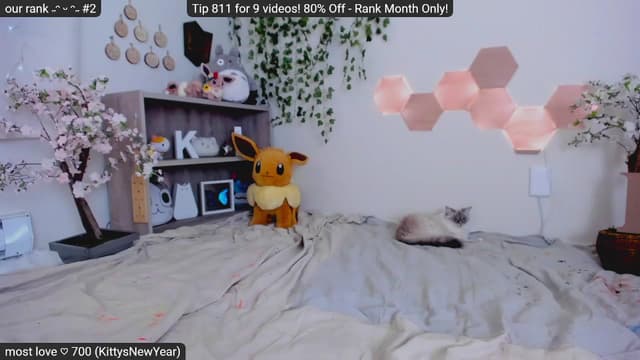 Gallery image thumbnail from Kitty's myfreecams stream on, 01/21/2023, 05:51 image 6 of 20