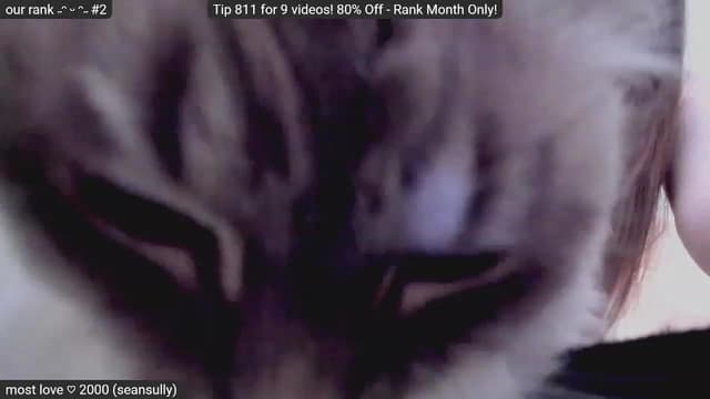 Gallery image thumbnail from Kitty's myfreecams stream on, 01/27/2023, 07:51 image 14 of 20