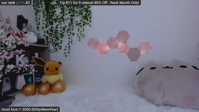 Gallery image thumbnail from Kitty's myfreecams stream on, 01/30/2023, 07:58 image 19 of 20
