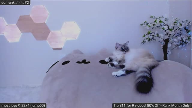 Gallery image thumbnail from Kitty's myfreecams stream on, 02/01/2023, 08:11 image 7 of 20