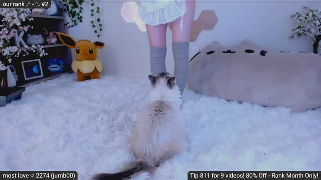 Gallery image thumbnail from Kitty's myfreecams stream on, 02/01/2023, 08:11 image 4 of 20