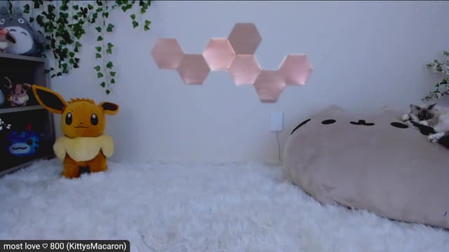 Gallery image thumbnail from Kitty's myfreecams stream on, 02/16/2023, 07:44 image 8 of 20