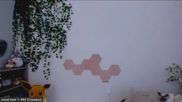 Gallery image thumbnail from Kitty's myfreecams stream on, 02/20/2023, 07:09 image 10 of 20