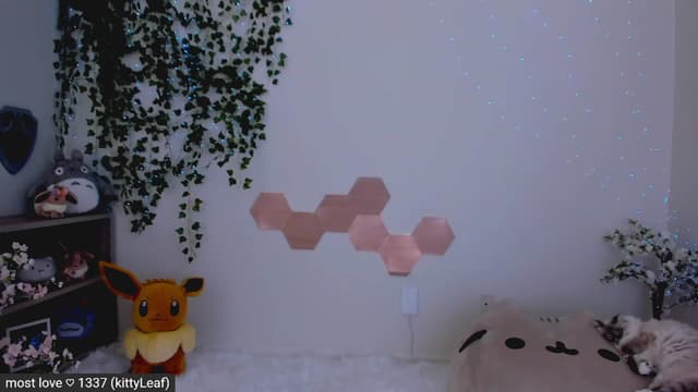Gallery image thumbnail from Kitty's myfreecams stream on, 02/23/2023, 07:33 image 16 of 20