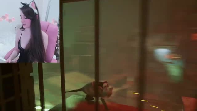 Gallery image thumbnail from Kitty's myfreecams stream on, 02/26/2023, 06:39 image 15 of 20