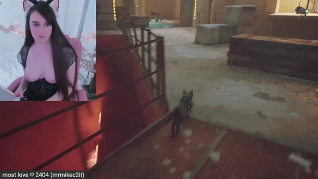 Gallery image thumbnail from Kitty's myfreecams stream on, 02/28/2023, 07:48 image 19 of 20