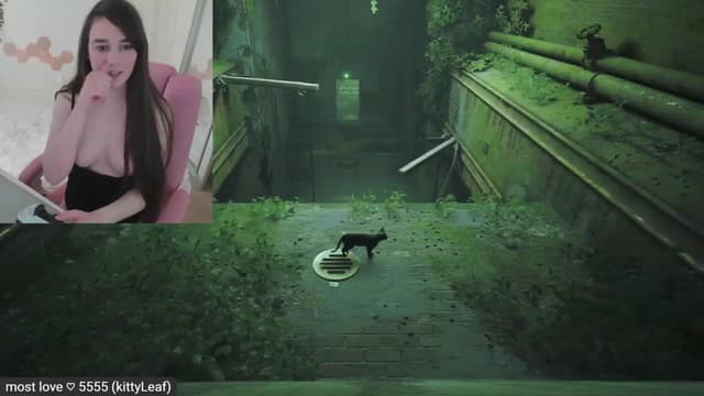 Gallery image thumbnail from Kitty's myfreecams stream on, 03/01/2023, 08:47 image 4 of 20